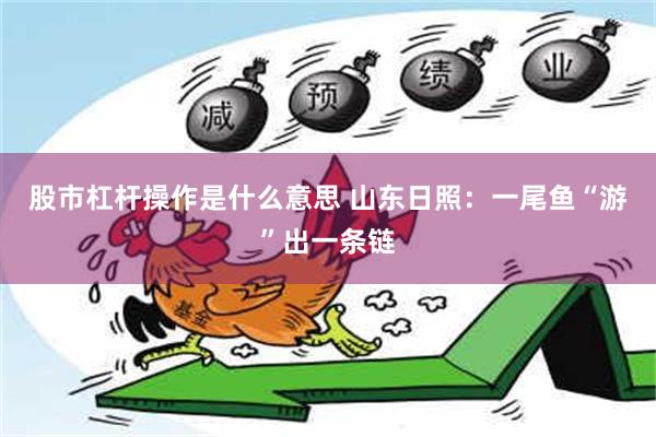 股市杠杆操作是什么意思 山东日照：一尾鱼“游”出一条链