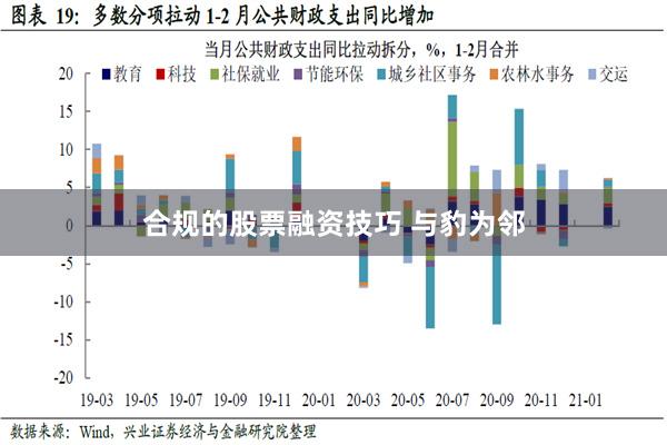 合规的股票融资技巧 与豹为邻