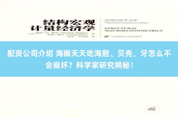 配资公司介绍 海獭天天吃海胆、贝壳，牙怎么不会崩坏？科学家研究揭秘！