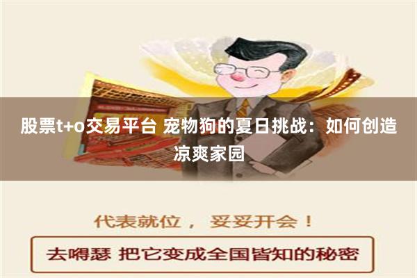 股票t+o交易平台 宠物狗的夏日挑战：如何创造凉爽家园