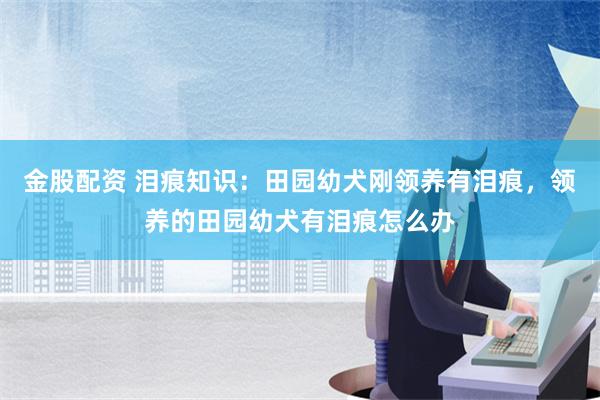 金股配资 泪痕知识：田园幼犬刚领养有泪痕，领养的田园幼犬有泪痕怎么办