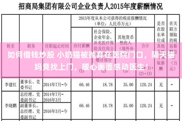 如何借钱炒股 小奶猫被抛弃在医院门口，隔天猫妈竟找上门，暖心画面感动医生！