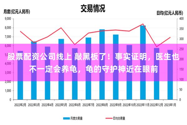 股票配资公司线上 敲黑板了！事实证明，医生也不一定会养龟，龟的守护神近在眼前