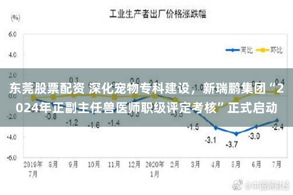 东莞股票配资 深化宠物专科建设，新瑞鹏集团“2024年正副主任兽医师职级评定考核”正式启动