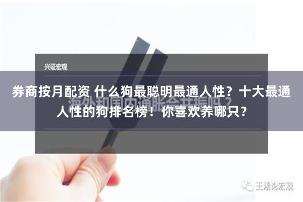 券商按月配资 什么狗最聪明最通人性？十大最通人性的狗排名榜！你喜欢养哪只？