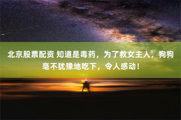 北京股票配资 知道是毒药，为了救女主人，狗狗毫不犹豫地吃下，令人感动！