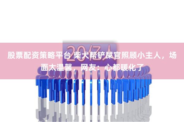 股票配资策略平台 柴犬帮铲屎官照顾小主人，场面太温馨，网友：心都暖化了