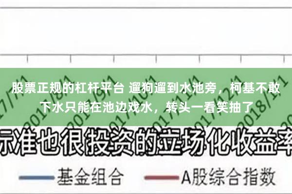 股票正规的杠杆平台 遛狗遛到水池旁，柯基不敢下水只能在池边戏水，转头一看笑抽了