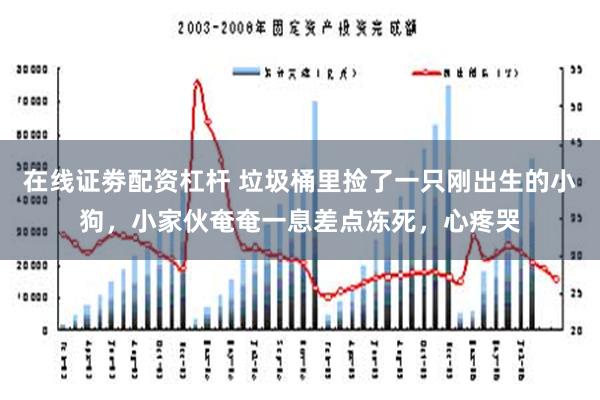 在线证劵配资杠杆 垃圾桶里捡了一只刚出生的小狗，小家伙奄奄一息差点冻死，心疼哭