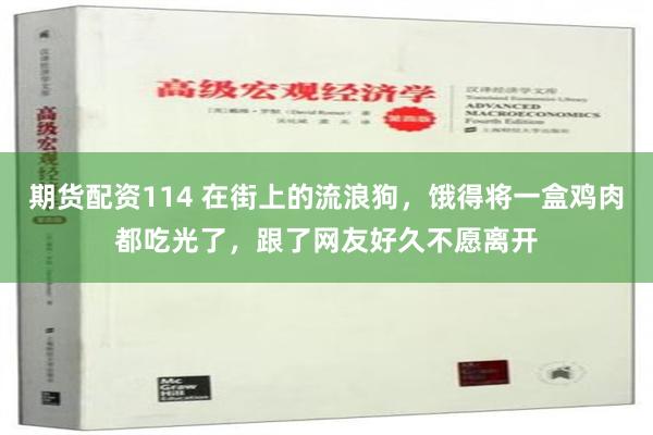 期货配资114 在街上的流浪狗，饿得将一盒鸡肉都吃光了，跟了网友好久不愿离开