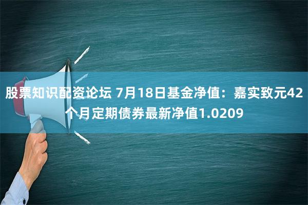 股票知识配资论坛 7月18日基金净值：嘉实致元42个月定期债券最新净值1.0209