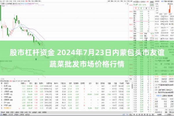 股市杠杆资金 2024年7月23日内蒙包头市友谊蔬菜批发市场价格行情