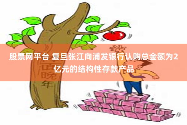 股票网平台 复旦张江向浦发银行认购总金额为2亿元的结构性存款产品