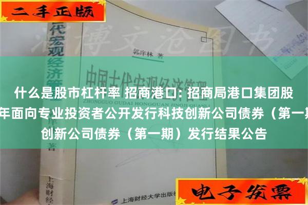 什么是股市杠杆率 招商港口: 招商局港口集团股份有限公司2024年面向专业投资者公开发行科技创新公司债券（第一期）发行结果公告