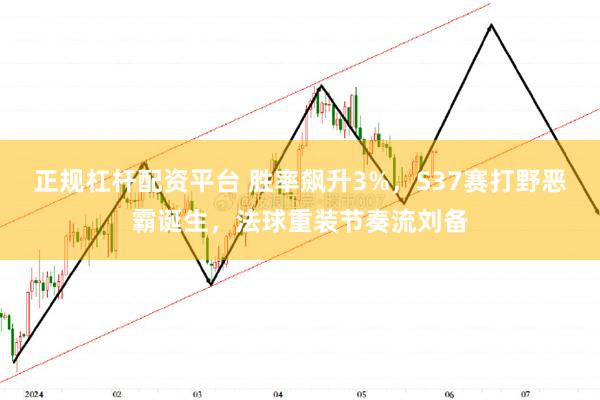 正规杠杆配资平台 胜率飙升3%，S37赛打野恶霸诞生，法球重装节奏流刘备