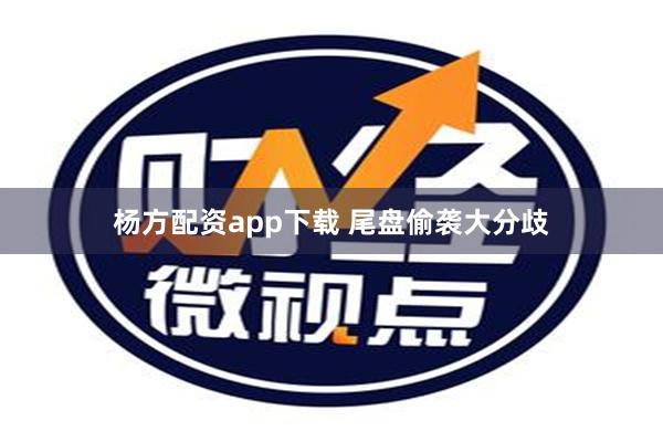 杨方配资app下载 尾盘偷袭大分歧