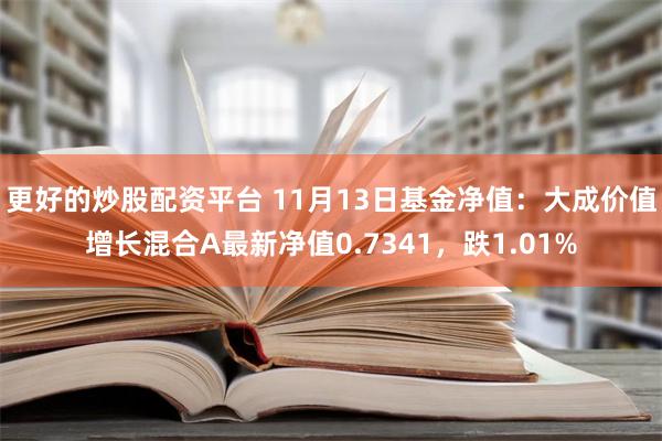 更好的炒股配资平台 11月13日基金净值：大成价值增长混合A最新净值0.7341，跌1.01%