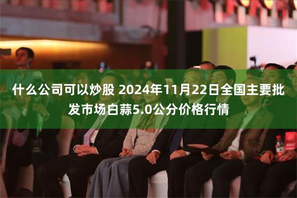 什么公司可以炒股 2024年11月22日全国主要批发市场白蒜5.0公分价格行情