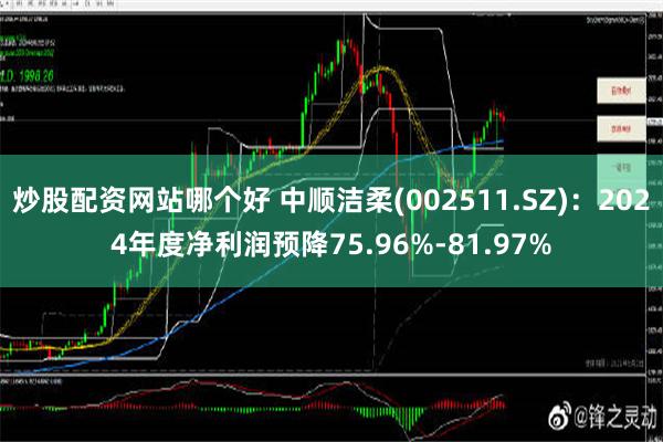 炒股配资网站哪个好 中顺洁柔(002511.SZ)：2024年度净利润预降75.96%-81.97%